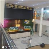 Gấu