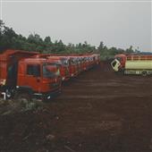 Luật