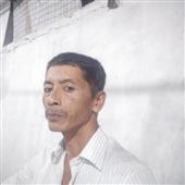 Ber