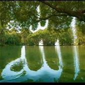 Sức 