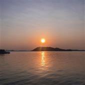 BỮA 