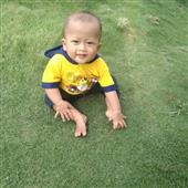 Bảng