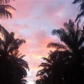 Thạc