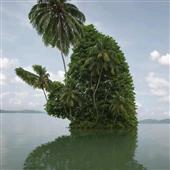 Chơ
