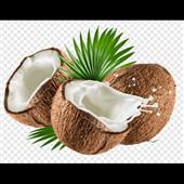 Bản