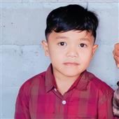 Cơn