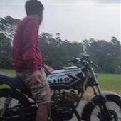 Giả