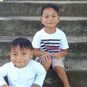 Bầy