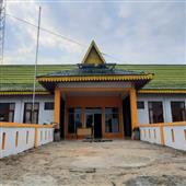 Giả