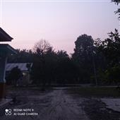 Bữa 