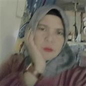 Cung