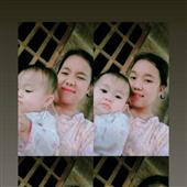 Dự b