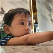 Cung