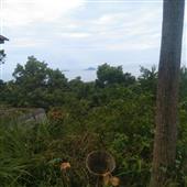 Vận 