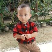 Quyể