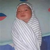 Bản 
