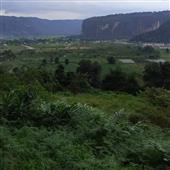 Bón