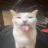 Giải