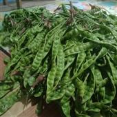 Giải