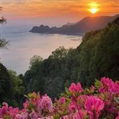 Xiếc