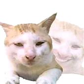 Nhận