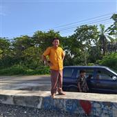 Trực