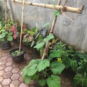Bảng
