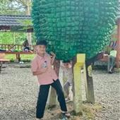 Đánh