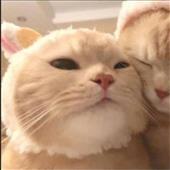 Yêu 