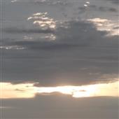 Rise