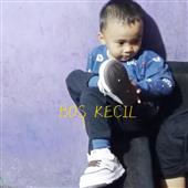 Xoil