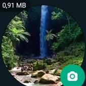 Dạo 