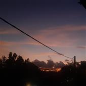Giả
