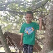Sự 