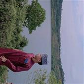 Cỏ b
