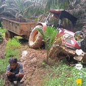 Ngườ