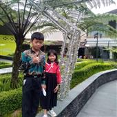 Luật