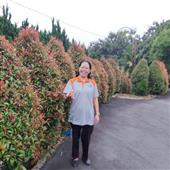 Anh