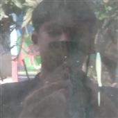 Việt