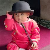 Đảo 