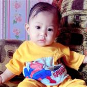 PubT