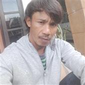 Gấu 