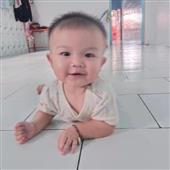 Luật