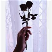Bản