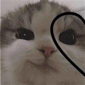 Cá 