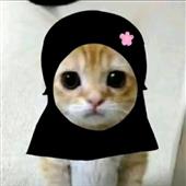 Lịch
