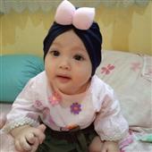 Gấu