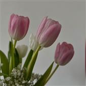 SấmS