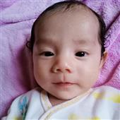 Trự