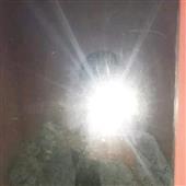 5 C